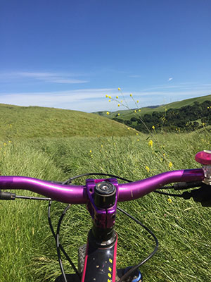 Pic of the view behind the handlebars