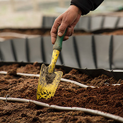 Image of and hand holding a gardening spade.