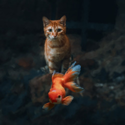 Photoshop edit of a cat on a rock about to eat a fish swimming in the air.