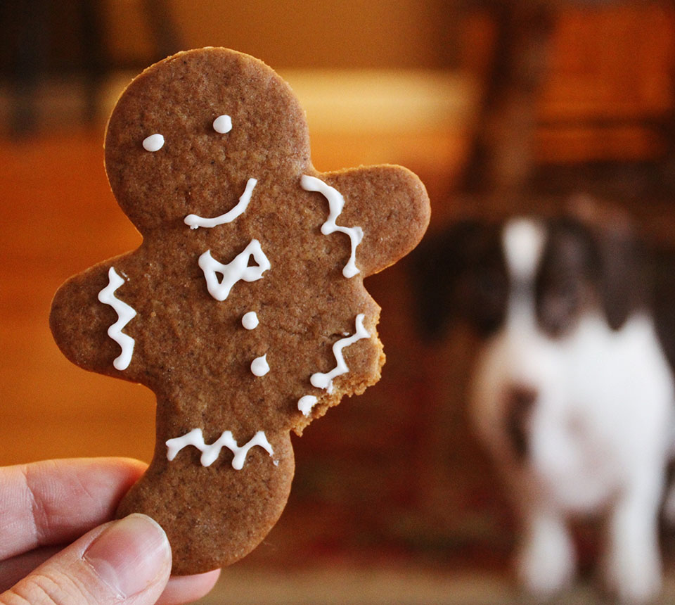 A person holds a gingerbread cookie with a dog looking behind it.