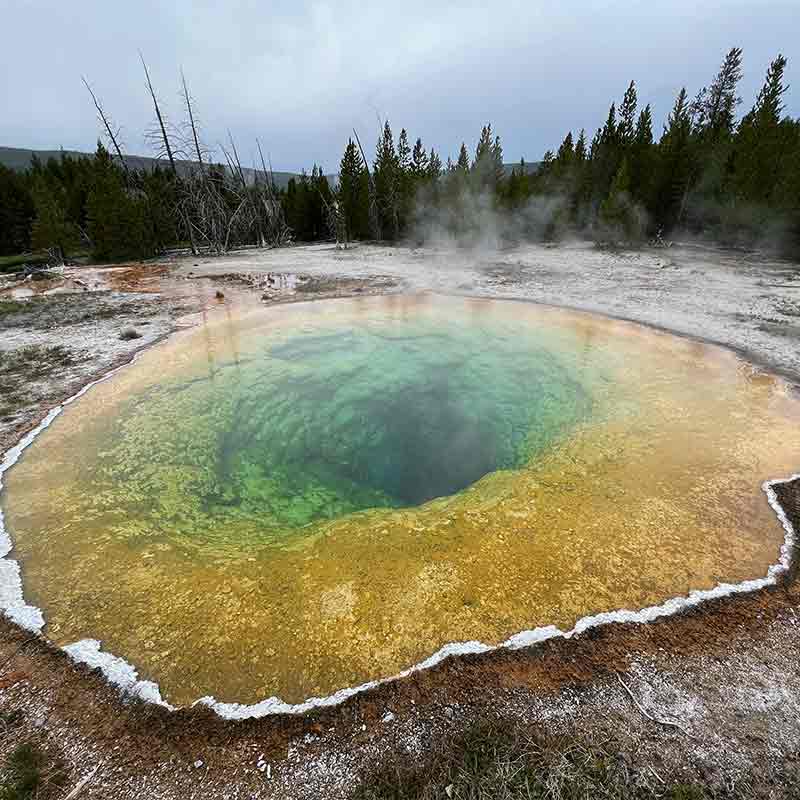 A deep blue and yellow hot spring pool sits in the forest steaming from the heat