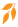 headerdecoration