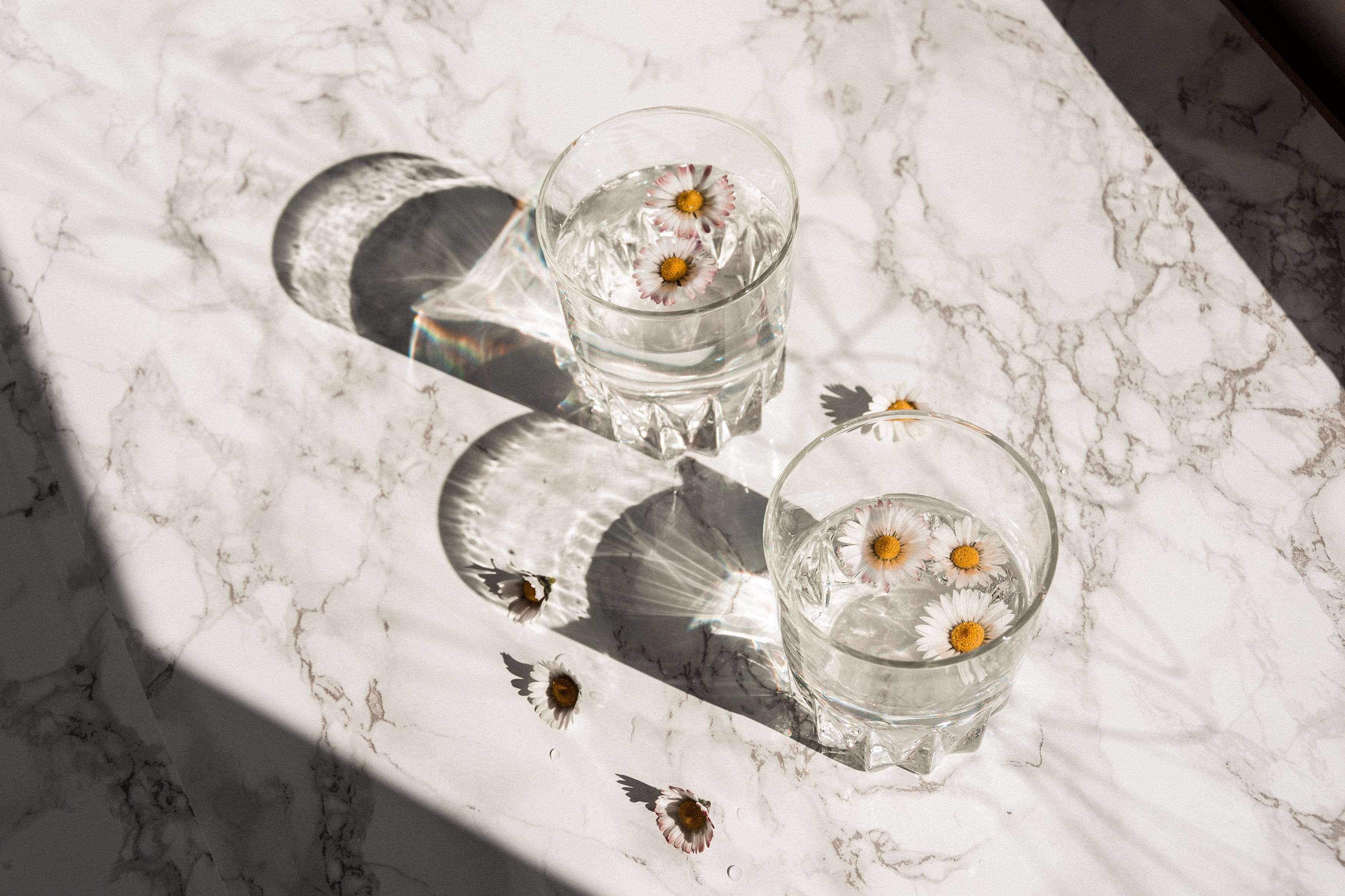 A photograph of artful plates taken in sunset lighting.