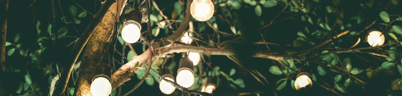 A string of lights in the trees creating ambience.