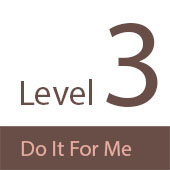 Level 3 Graphic