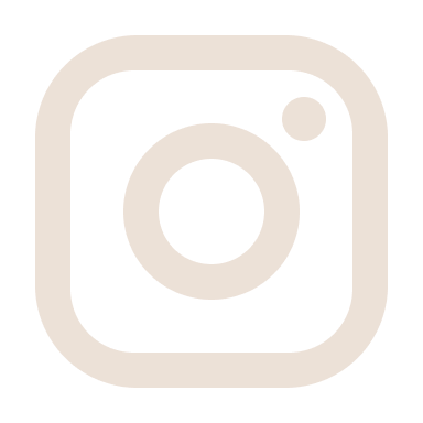 Inst Icon