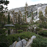 beautiful meadow along the Pacific Crest Trail