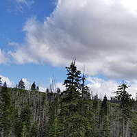 landscape with clouds and trees near Mt. Lassen