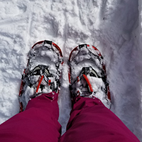 feet in snowshoes in the snow