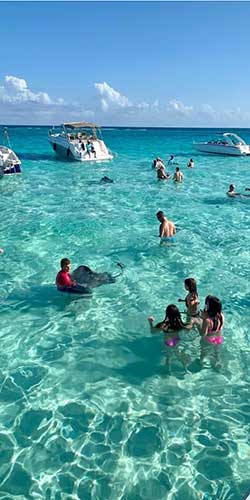 people in water viewing rays swiming