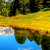 Close up of field with reflection