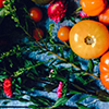 Close up of tomatos and flowers