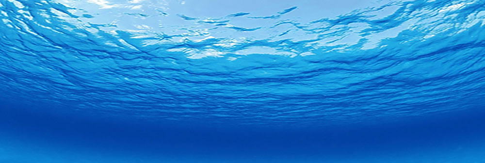 picture of ocean