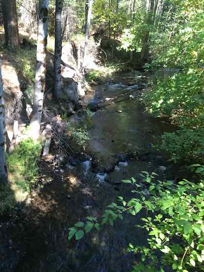 riparian Habitat