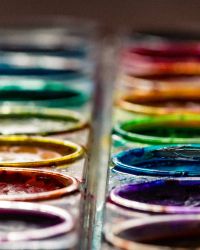 upclose of water color palette