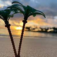A photo of a toy palm tree on the beach