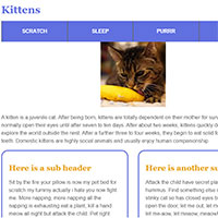 screenshot of website about kittens