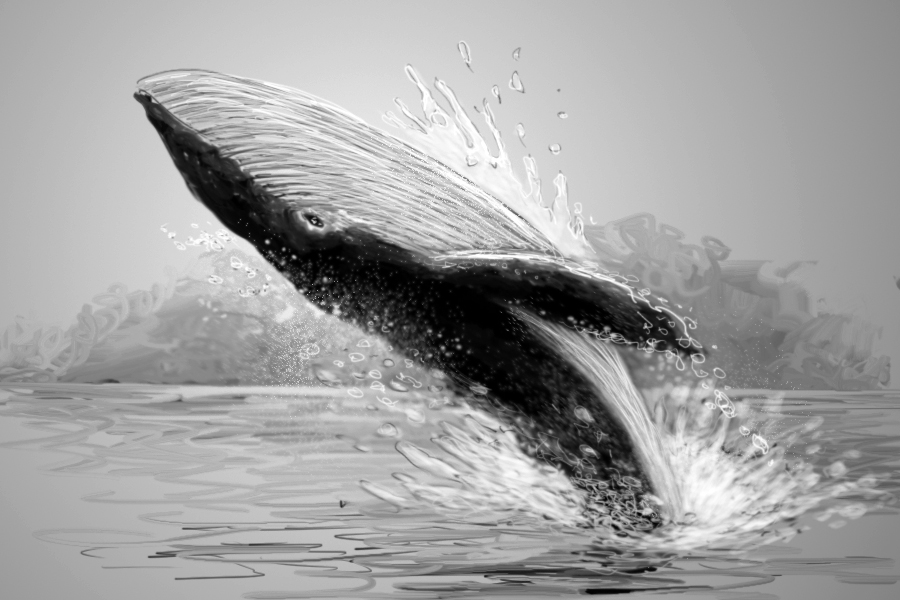 Whale