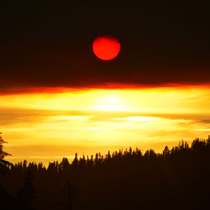 smoke shrouded sun