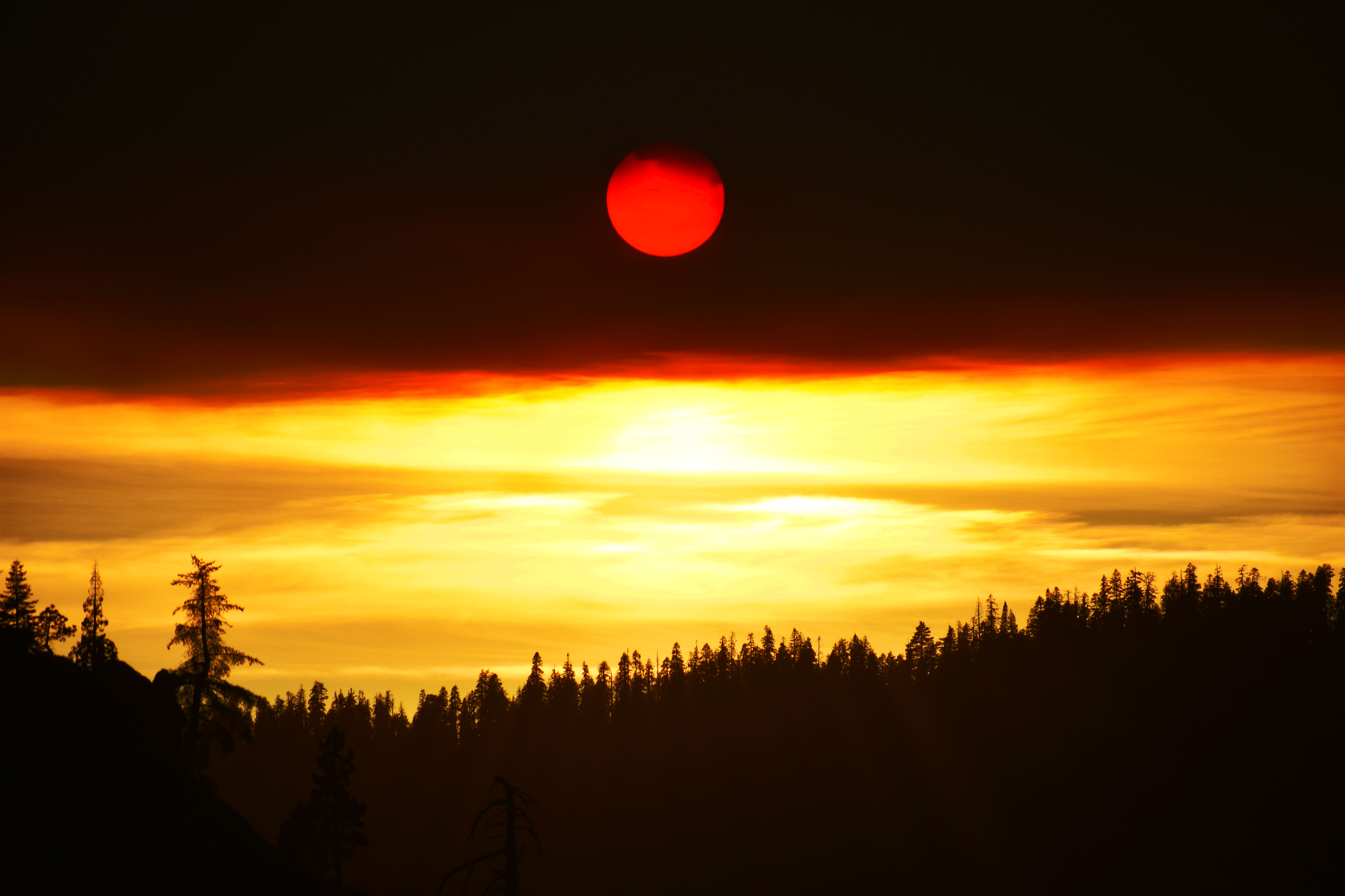 Smoke shrouded sun