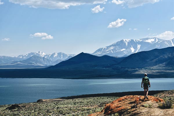 A young man and a dog wandering along the edge of a cliff overlooking a lake and a mountain range.