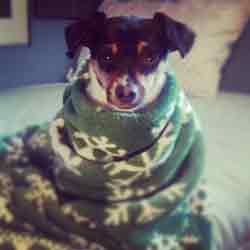 Jackson Avery wrapped up in his favorite, green blankie