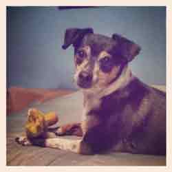 Jackson poses with one of his best friends, Ducky