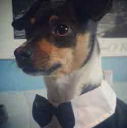 Portrait of Jackson Avery in his black tie