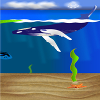 Screen showing above and below water with a humpback whale, a blue tang, and a starfish