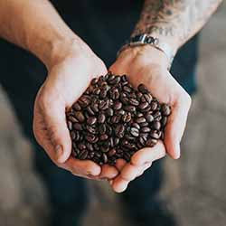 handful of coffee beans
