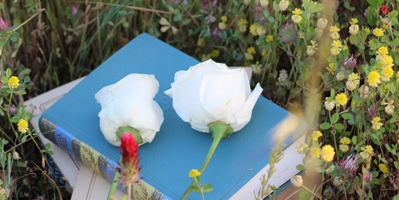 Literature books with two white roses.