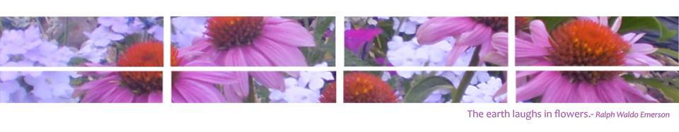 Quote: The earth laughs in flowers --Ralph Waldo Emerson