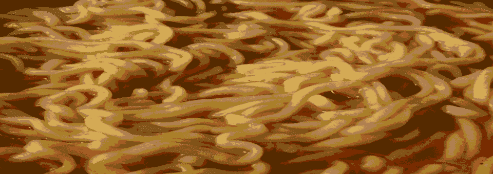 GraphicOfNoodles